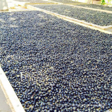 Medlar Organic Black Goji Berries frutos secos